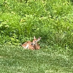 Meet your Posher, Kelli